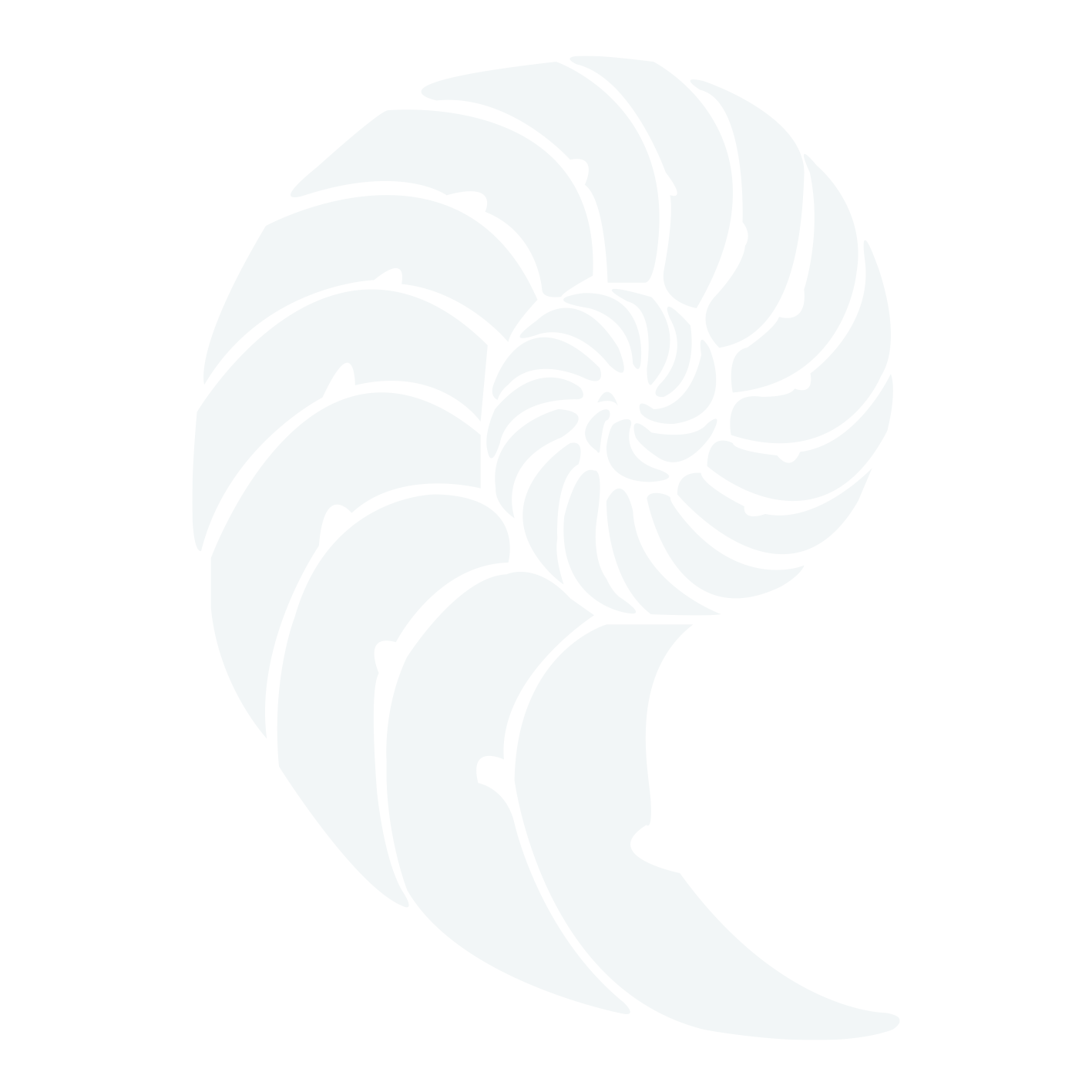 Espiral por la vida